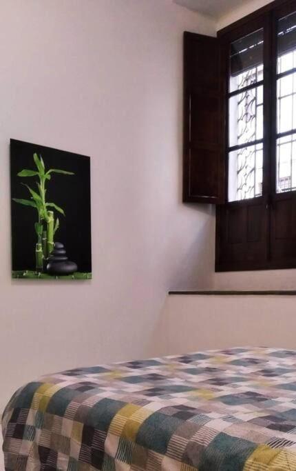 Appartamento Disfruta De La Historica Cordova Esterno foto